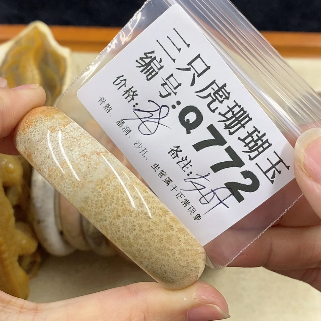 硅化珊瑚（珊瑚玉）1未镶嵌m**g