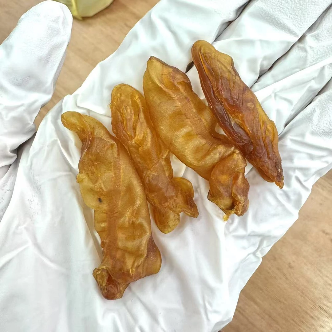220头黄花胶黄花筒  厚肉