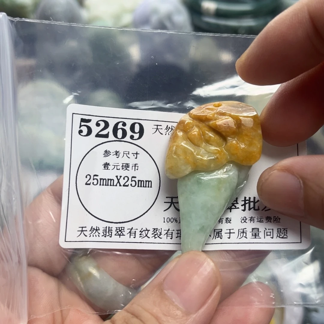 翡翠未镶嵌颈饰5269