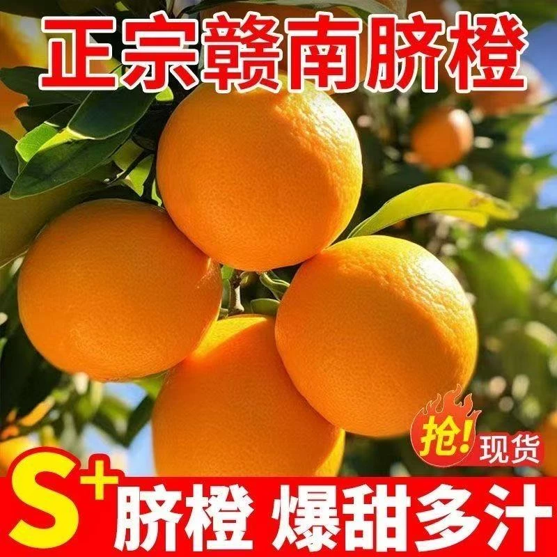 正宗江西赣州脐橙新鲜橙子无籽脐橙现摘现发精品大果