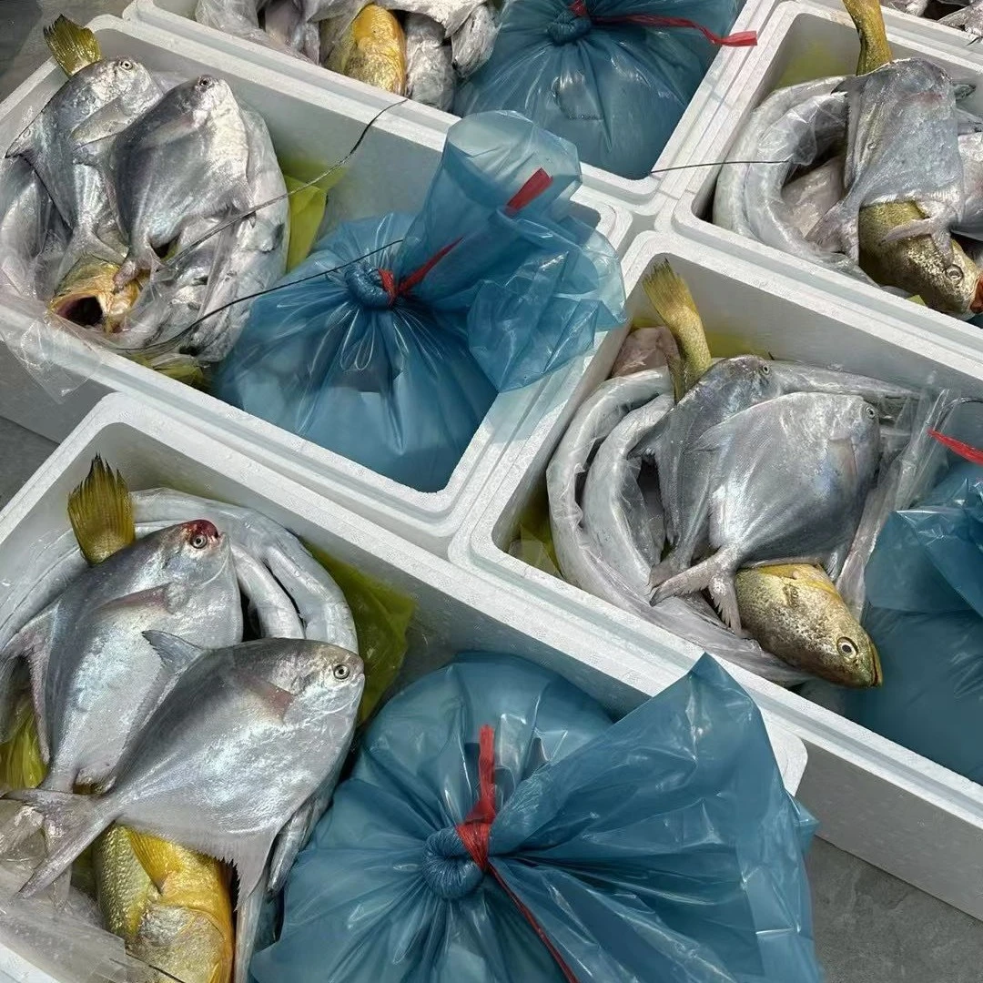 （直播间各类海产品现拍链接）舟山发货现拍链接物品重量直播间为准