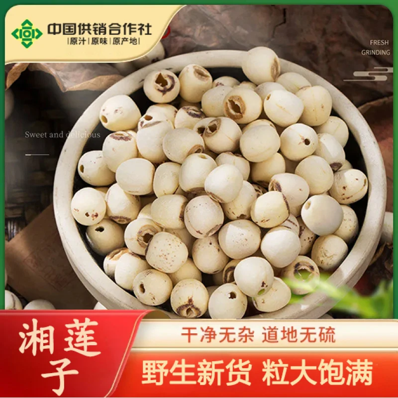 湘莲子去芯无皮莲子茶煮水泡水养生茶