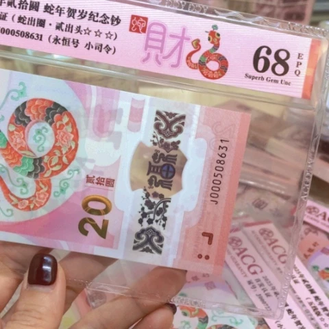 塑料000508631小司令——————