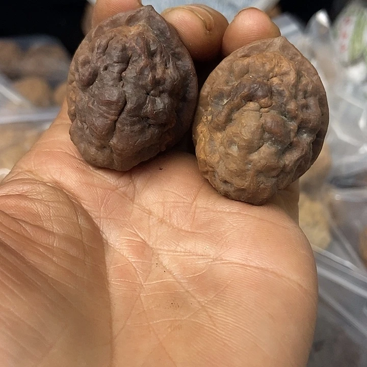 把件文玩核桃云南铁核桃基地66