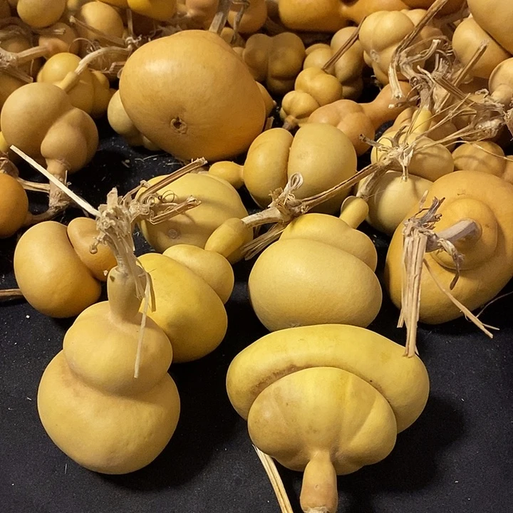 一****?葫芦的颜色也是非常好看