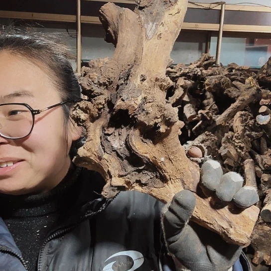 香榧木黑****样火琉璃的毛料摆件