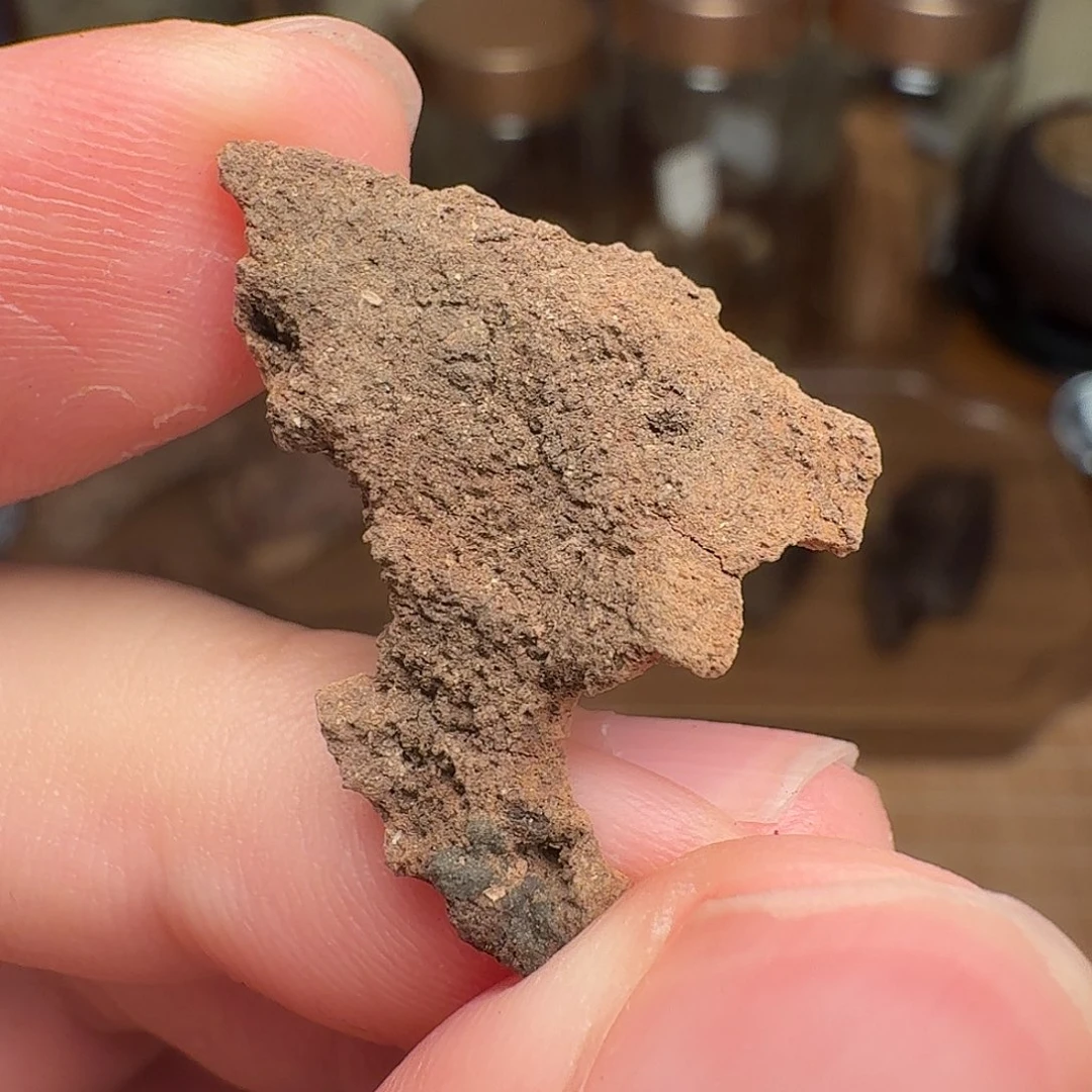 沉香香港鸡母虫漏