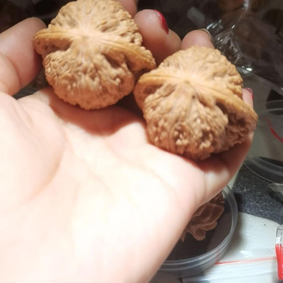 猴头核桃吊坠今***睡45泥鳅背