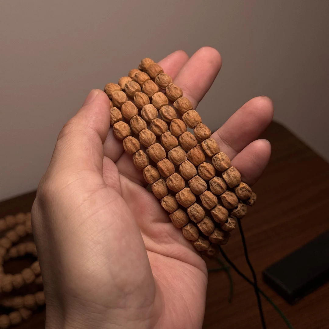 热振柏香籽红皮高桩铁籽