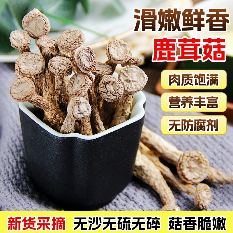 【小乔爱生活专属】鹿茸菇干货完整不碎煲汤炒腊肉的食用菌500g食材