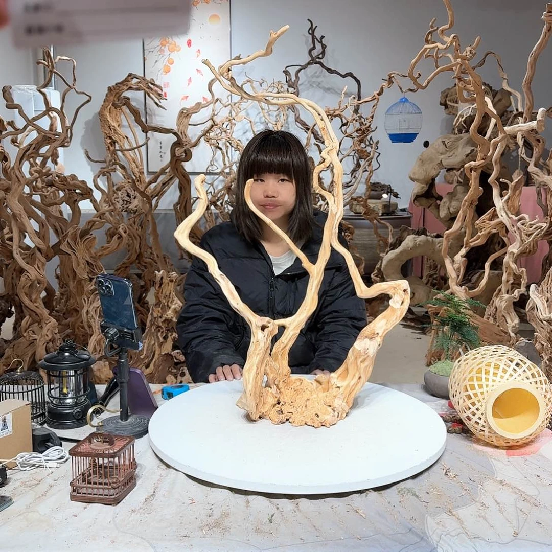 风车木（黑檀木）俊***桩