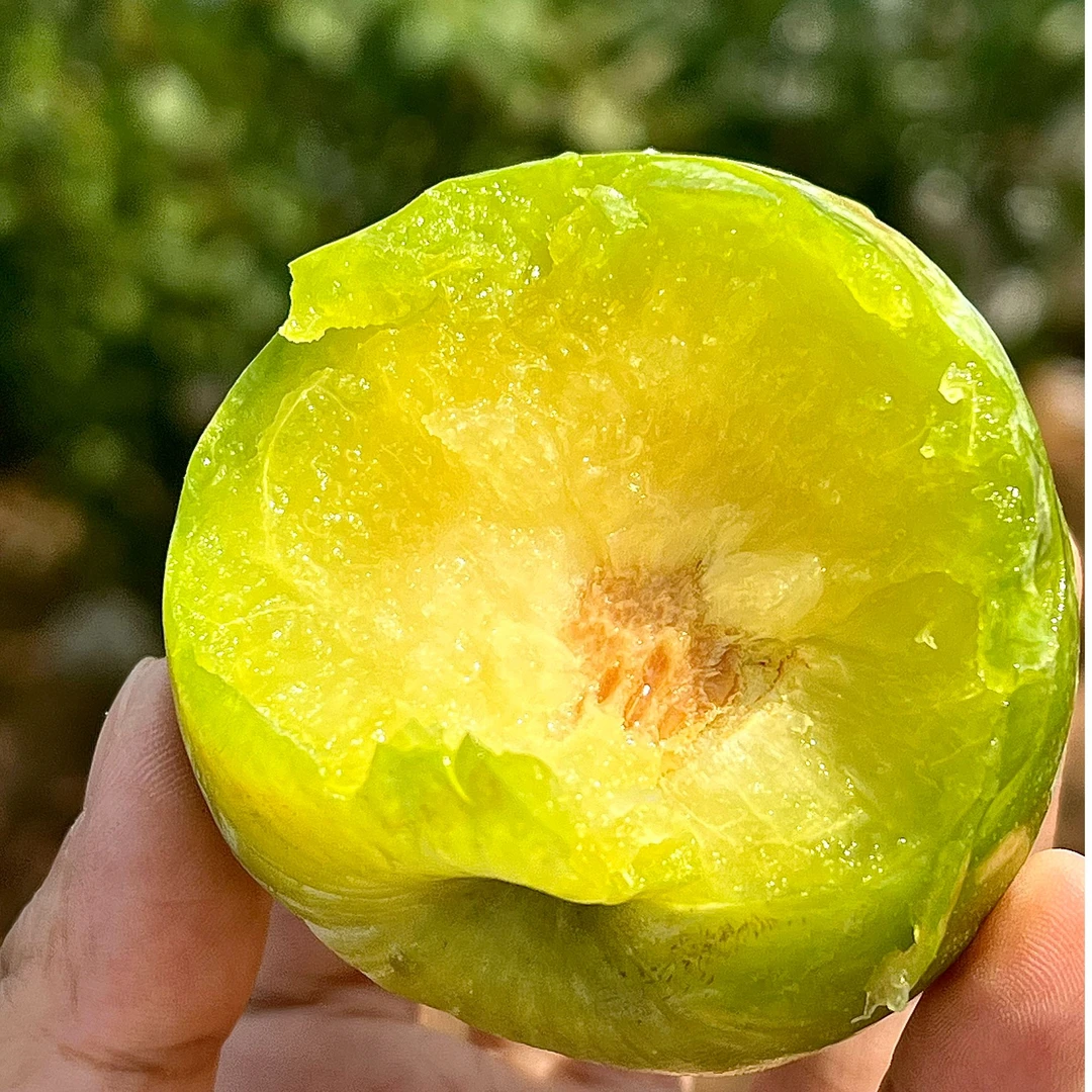 广东仁化平甫奈李新鲜水果青脆李脱骨桃形李孕妇脆甜油柰现摘李子