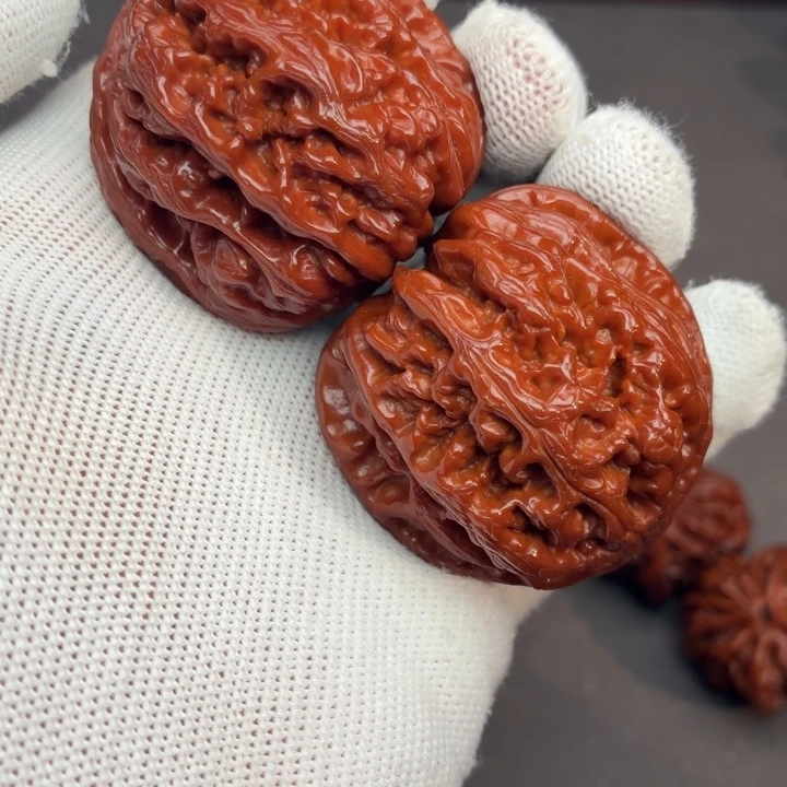 随***缘木质大粗筋788.08. WY#00#