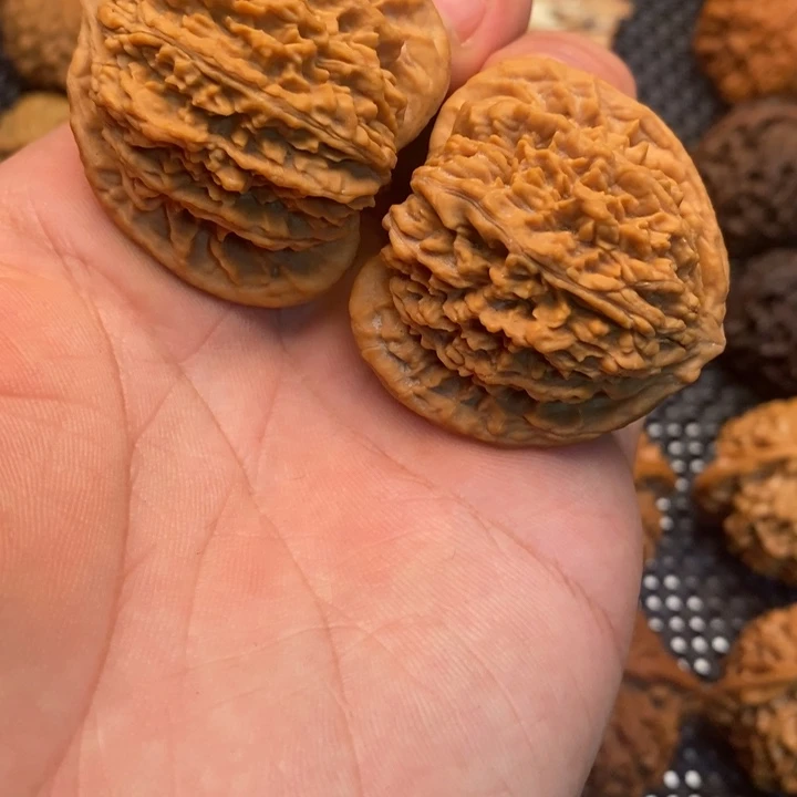 笑***尘秦岭赵赵文玩 流星雨 全品毕业40