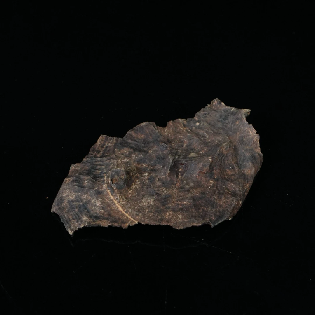 A6511 海南尖峰岭铁结沉香香料 10.6x6.29x0.26cm 7.73g