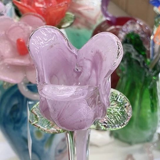 夜光花高45厘米宽6厘米