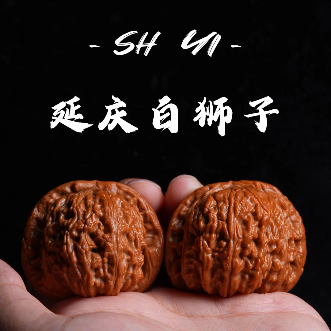 【拾溢专属】 HT06 延庆白狮子文玩核桃
