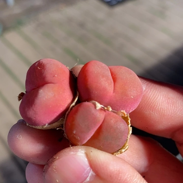 5164一个一个一个