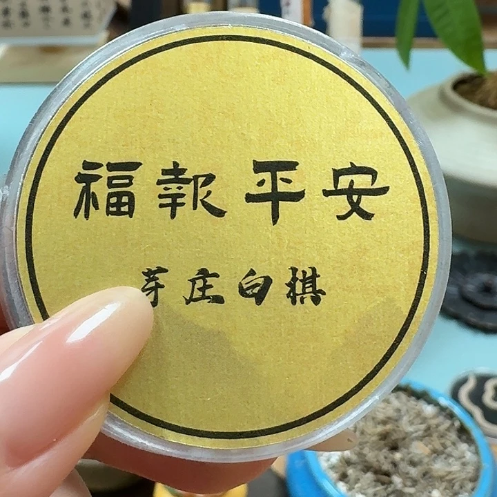 瓷片芽庄10片。。。。。。。。。。。。