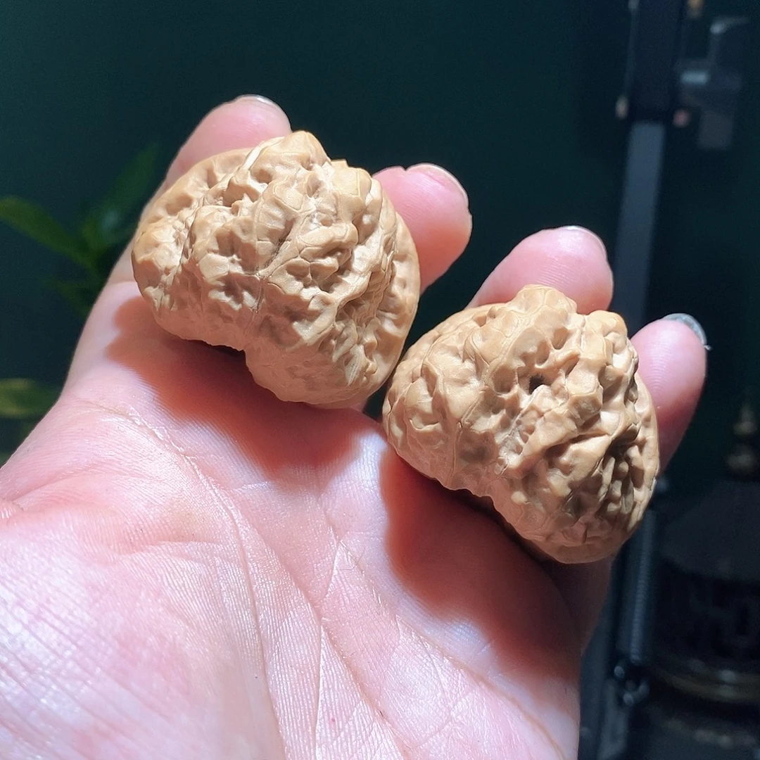 把件文玩核桃42边45肚蛤蟆头