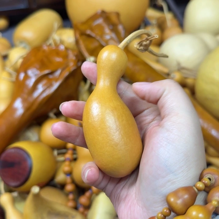 a***喔竹类老皮瓶子葫芦