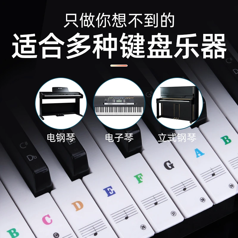 彩色英文无胶琴键贴886154键通用成人钢琴电子琴键盘静电贴纸