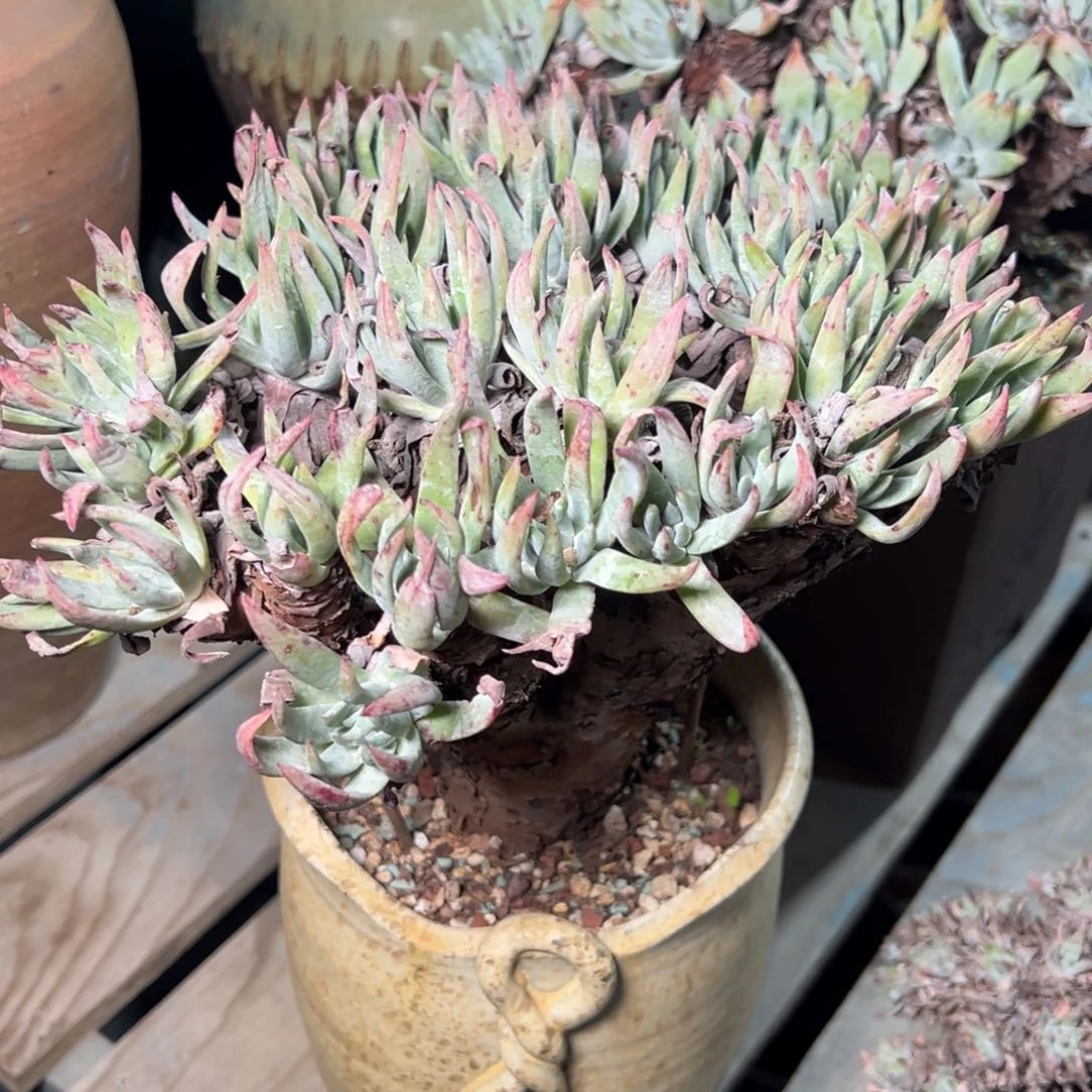 178哈哈哈哈哈哈哈