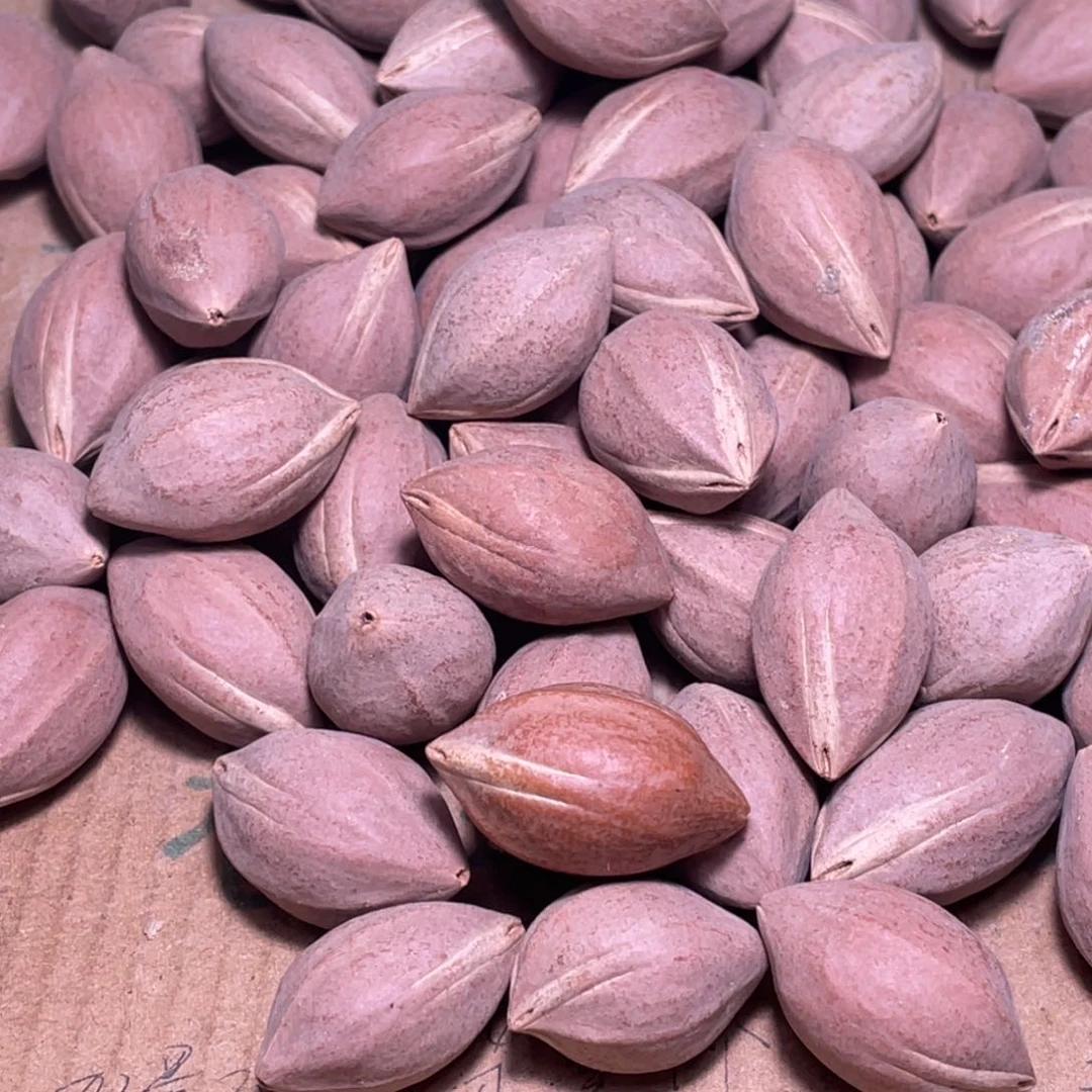 *****橄榄核手串/手链不退不换wwett