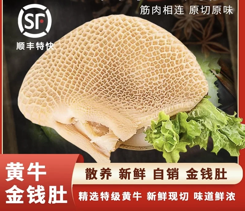 新鲜金钱肚 牛金钱肚商批用发半成串冷牛蜂窝肚毛肚整生牛肚新鲜