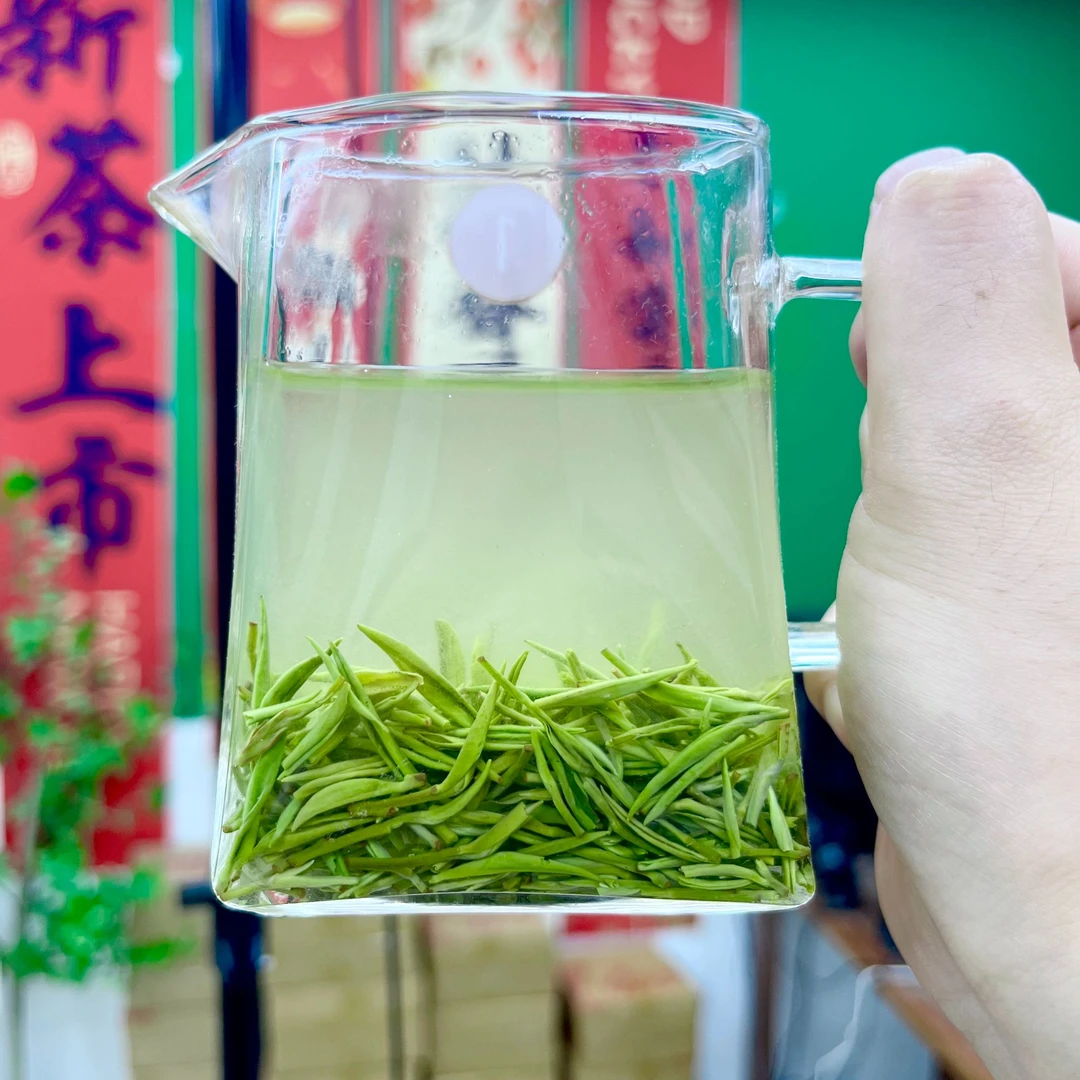 4号2025信阳毛尖新茶 明前嫩芽 优选高山绿茶毛尖 鲜香甘甜兰花香