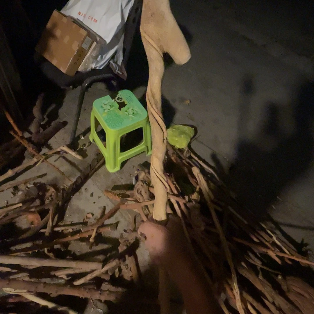 吉***李贵州冬青盘龙手杖拐杖