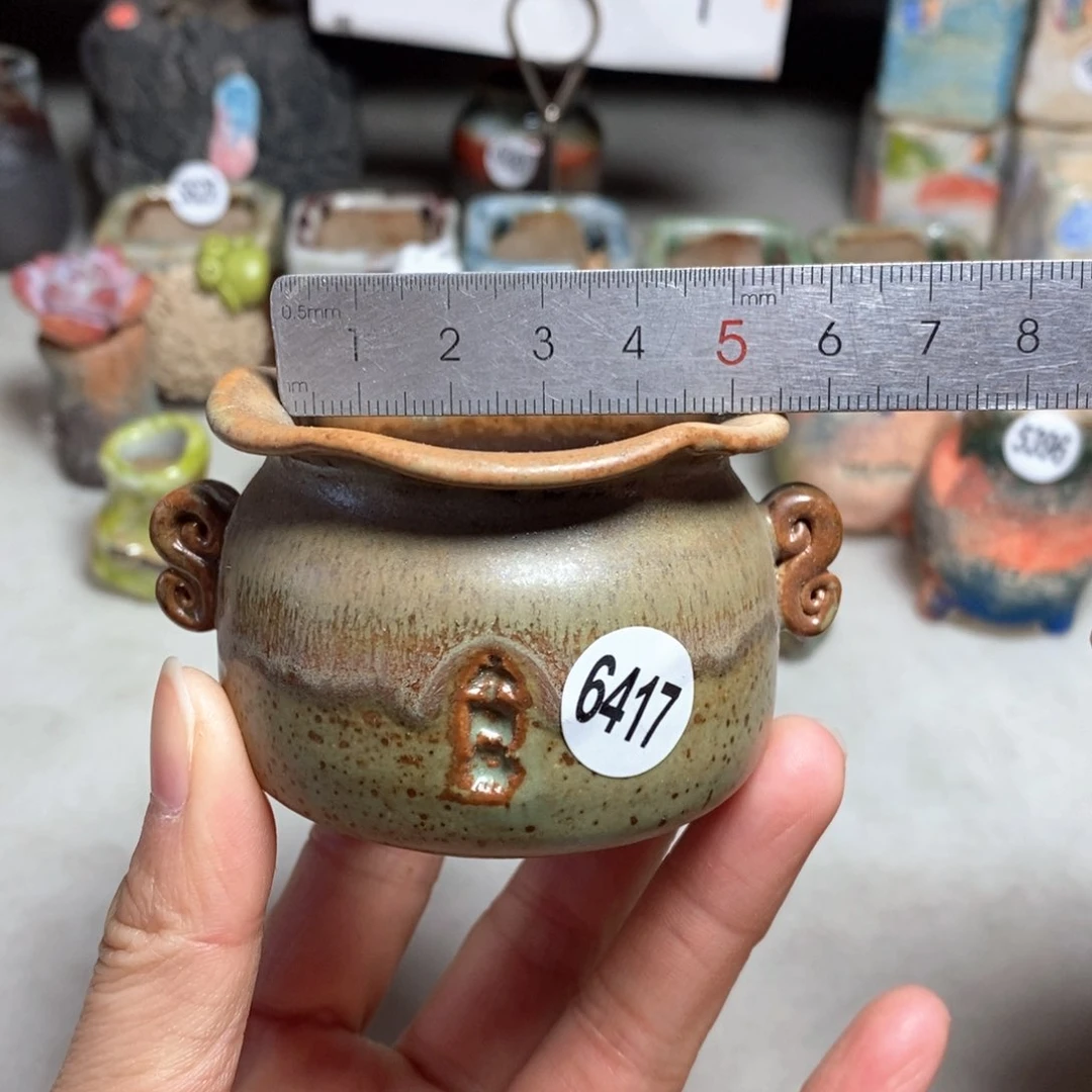 拍5送一个小礼物