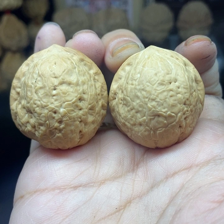 吊坠文玩核桃金龟子