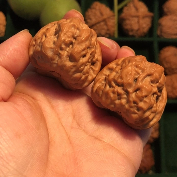 文玩核桃把件蛤蟆