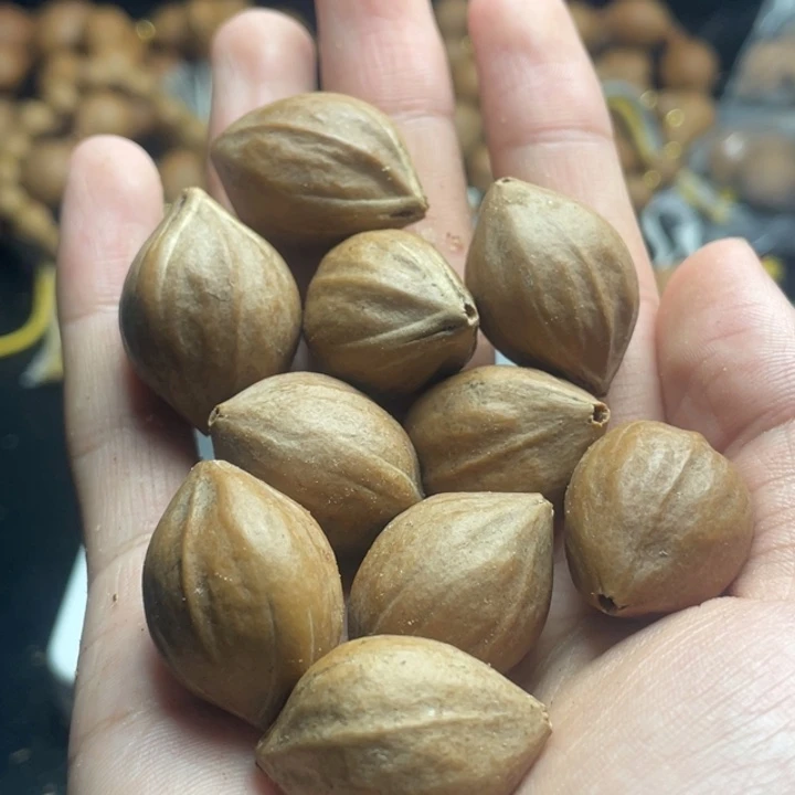 手串/手链橄榄核1.9
