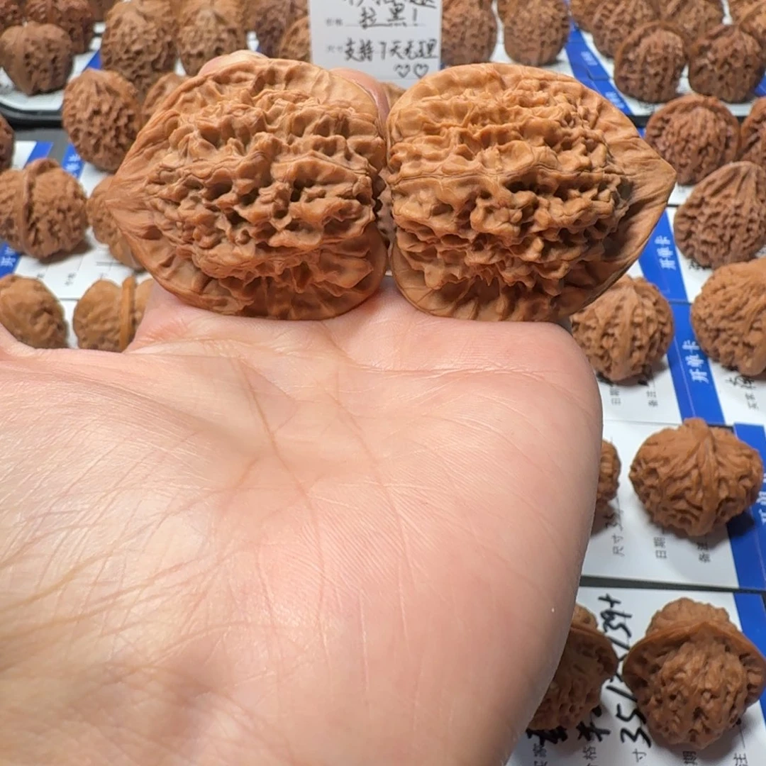 核桃112号 4.4尺大官帽 福利品