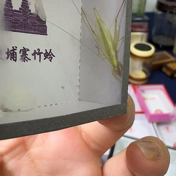 哈哈哈哈哈哈哈哈哈哈