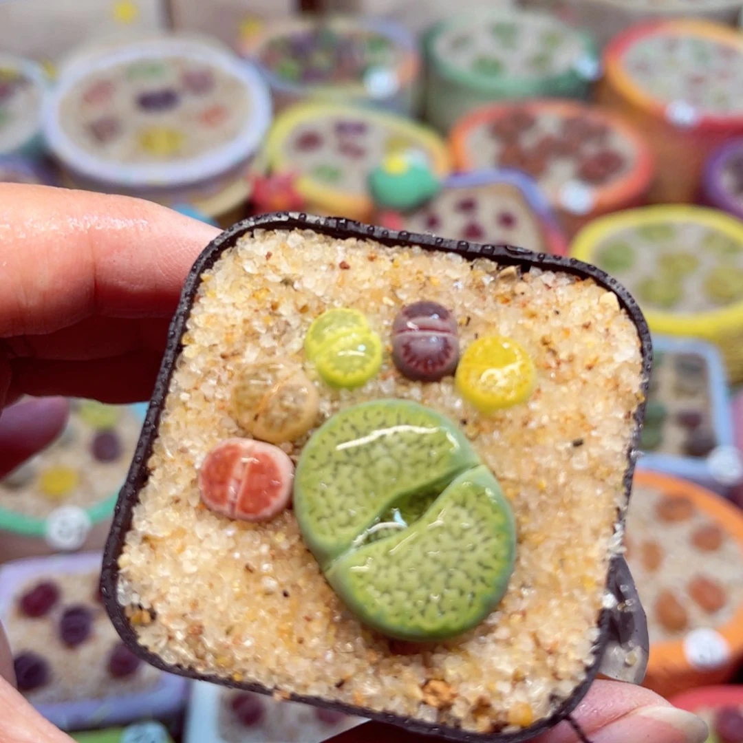 633. 56787678975688867