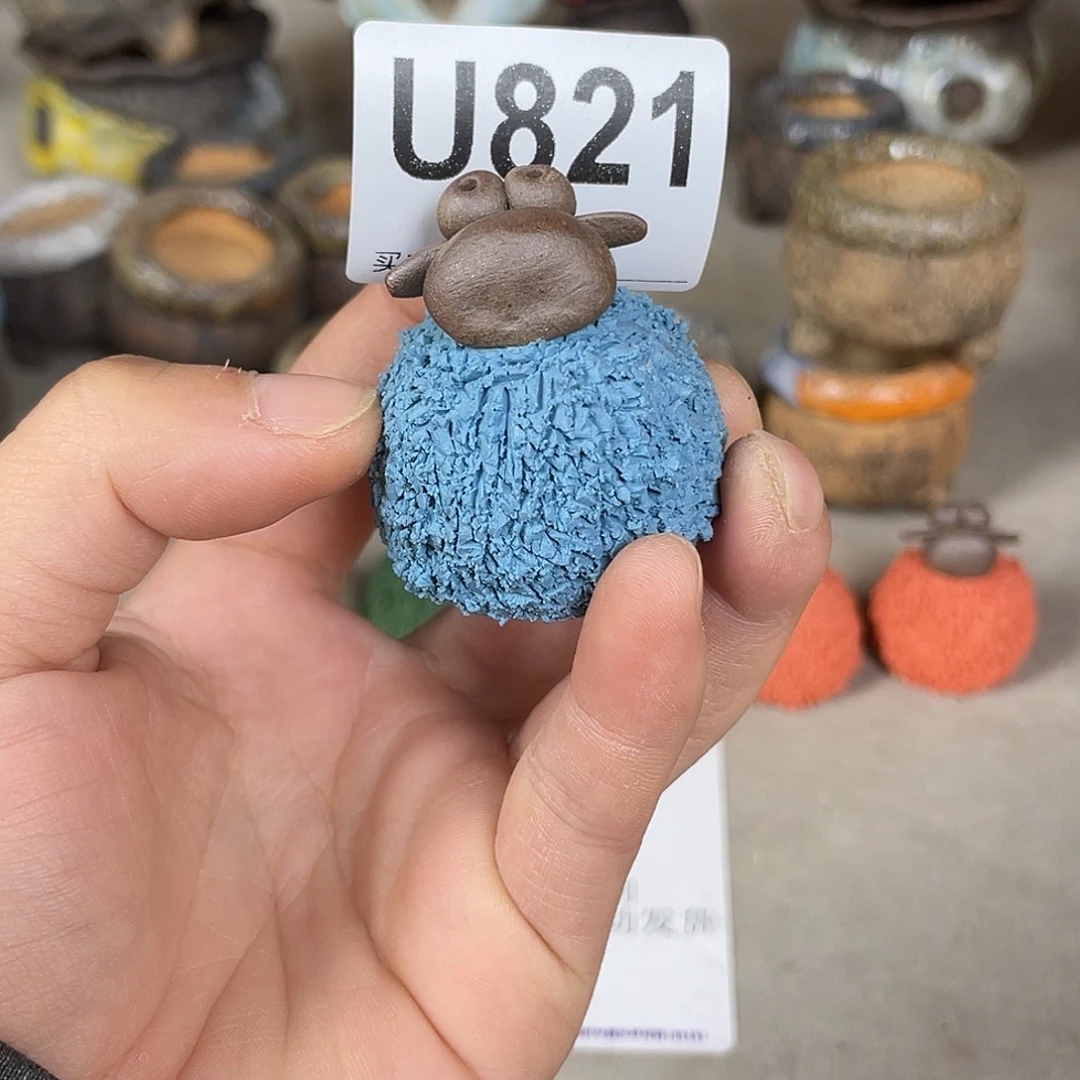 ღ***࿐哈哈哈哈哈哈哈哈哈