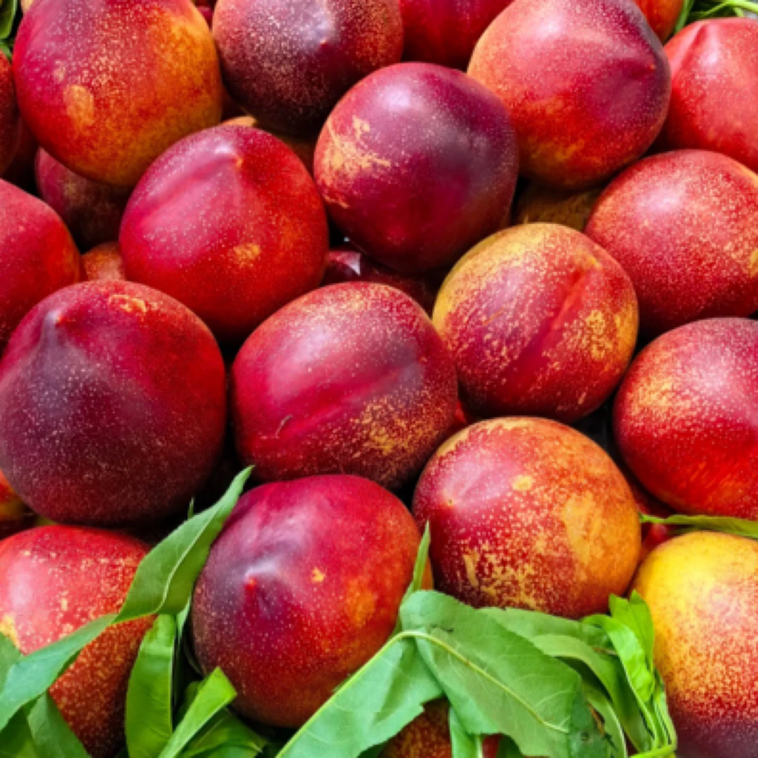 【京东送货上门】山东黄心麻点油桃脆甜多汁原产地发货1-5斤当季新鲜水果桃子山东省