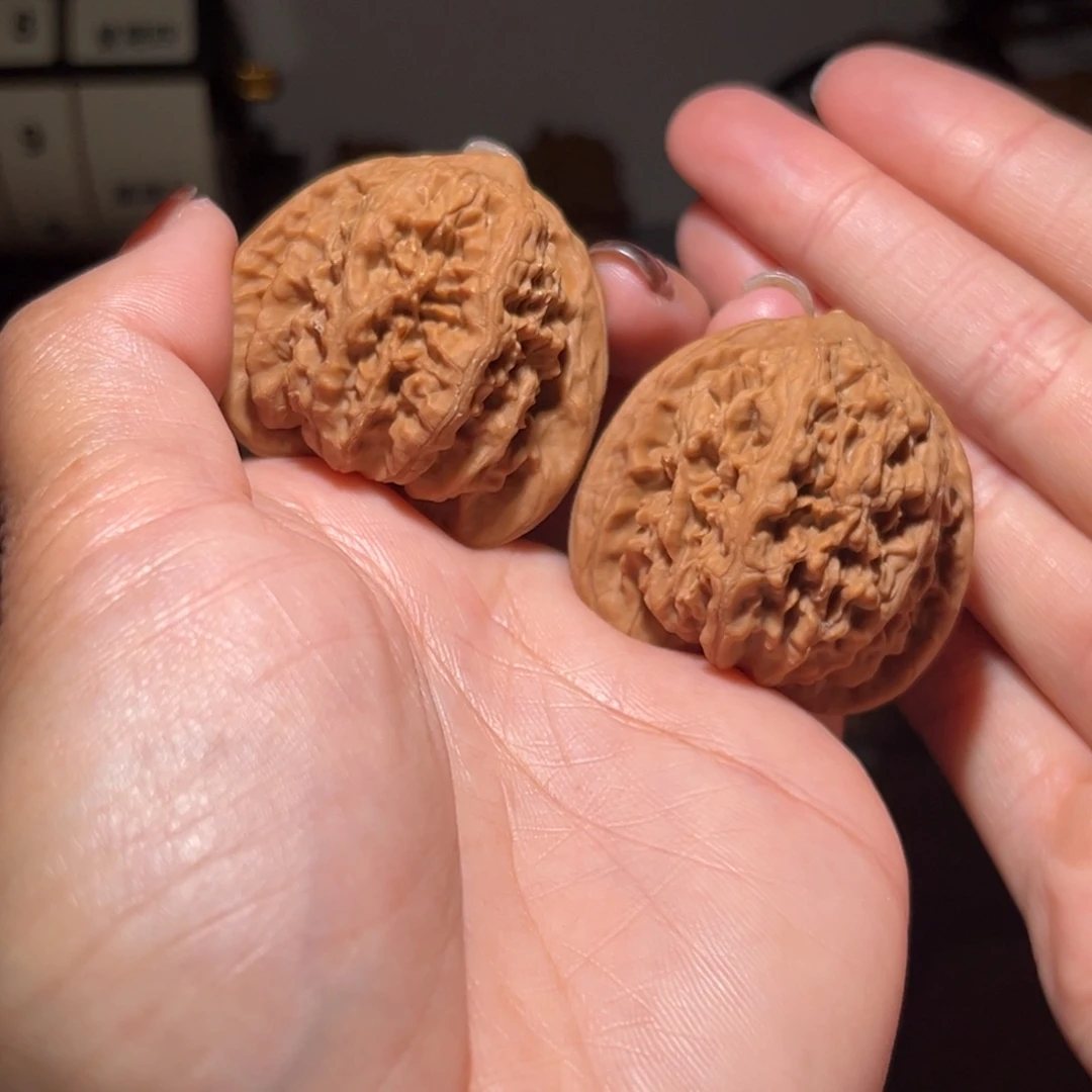q***r木质类蚂蚁沟41全品