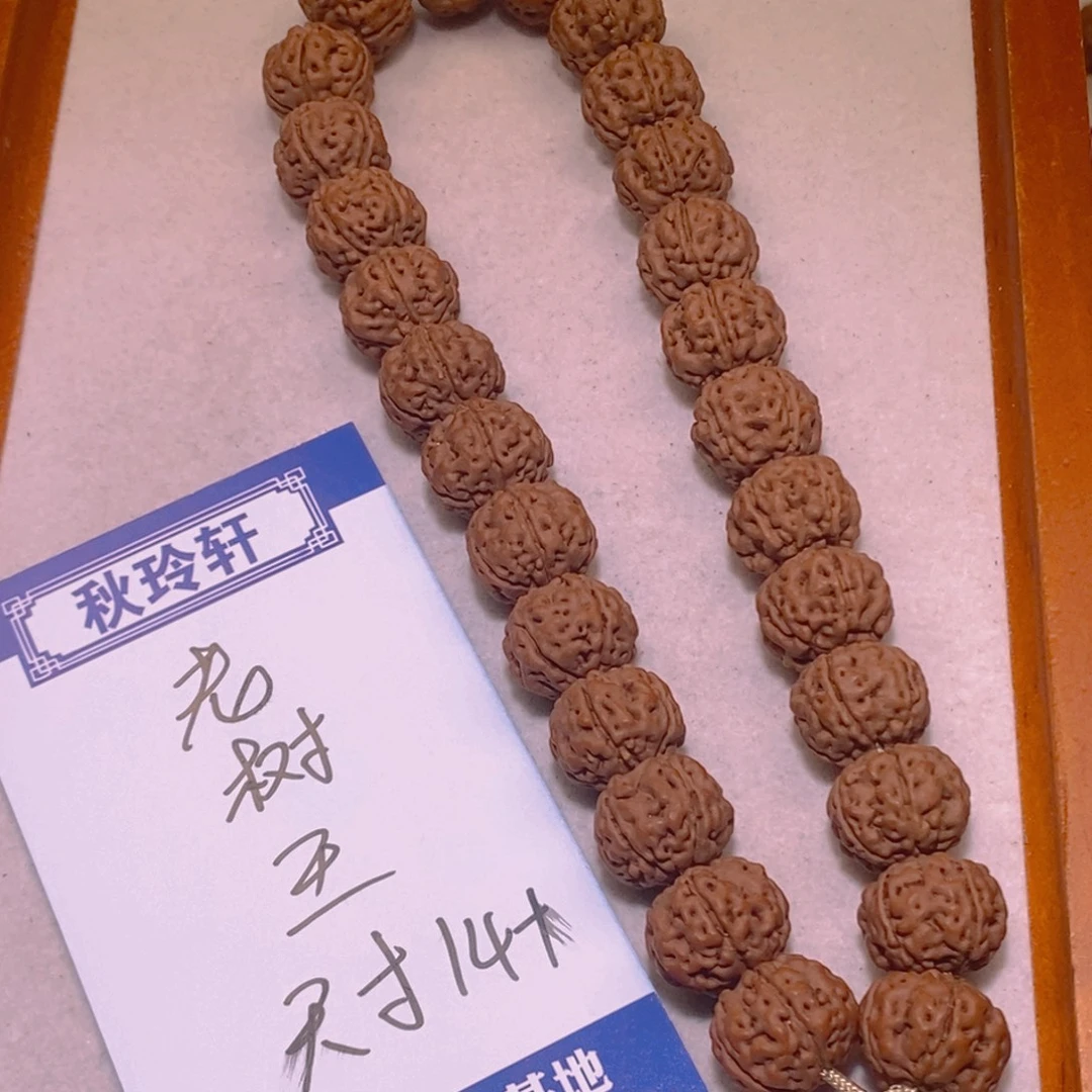 金刚菩提手串老树王14+