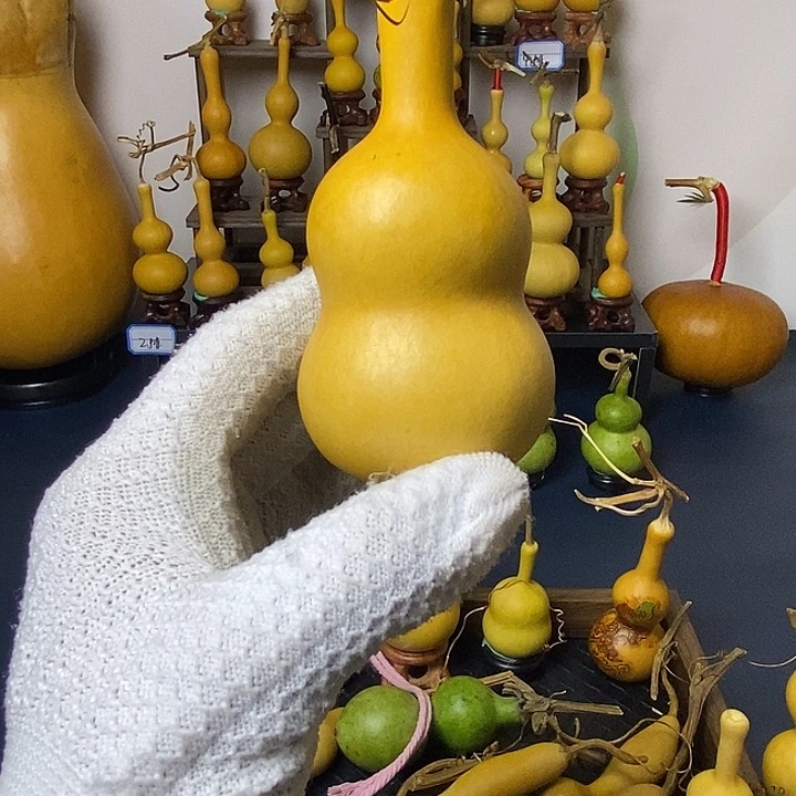 x***x精品葫芦一物一价