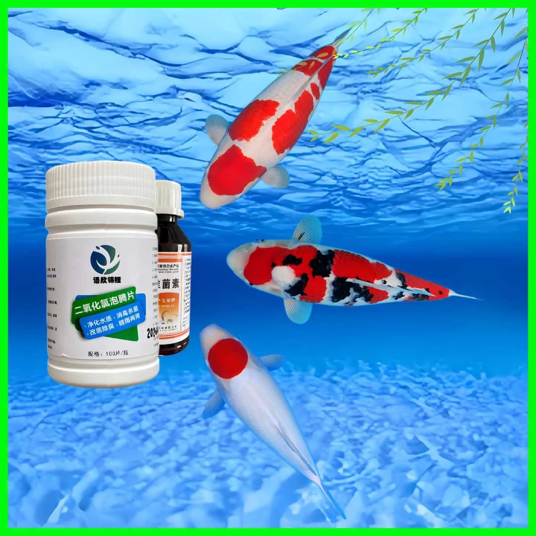 锦鲤双杀杀菌杀虫必备阿维溶液解决锦鲤外寄生虫体表虫净水剂