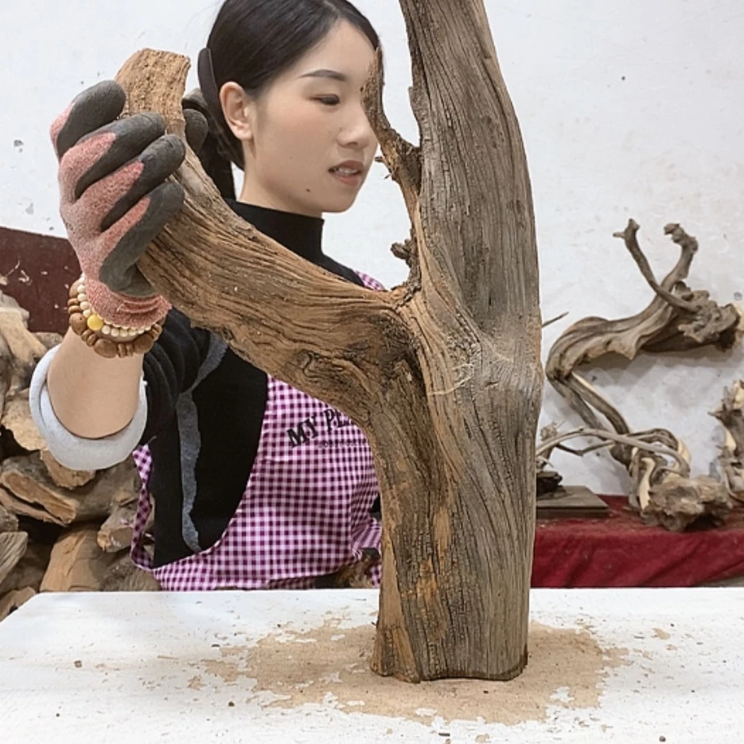 【闪购商品】柏木圆*我们都是好孩子