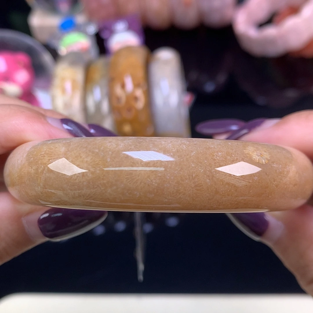 【闪购商品】颈饰未镶嵌硅化珊瑚（珊瑚玉）福利手镯61.3口（5号）