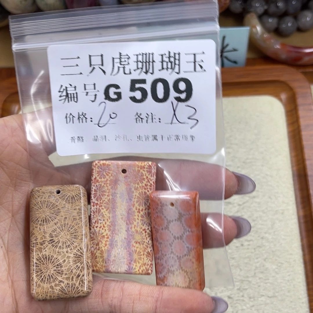 一***窝硅化珊瑚（珊瑚玉）未镶嵌h