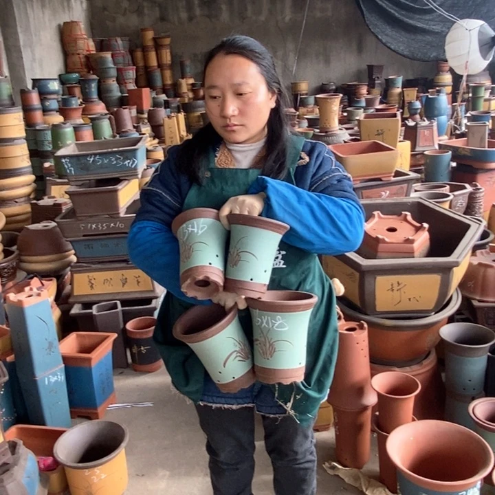 紫砂花盆盆栽花卉苗木种植