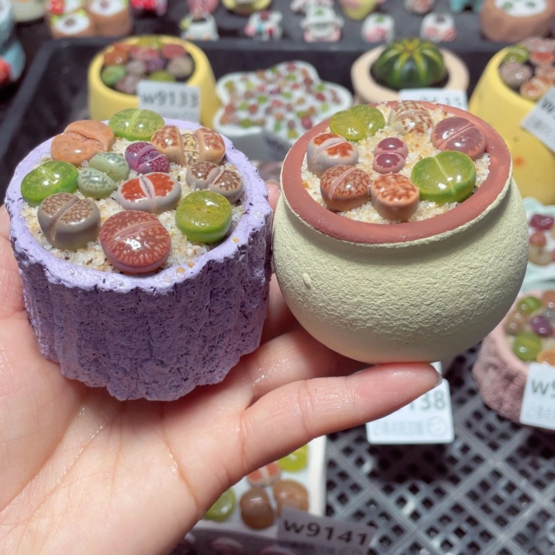 w9142 带盆土发货-零下地区拍保温箱