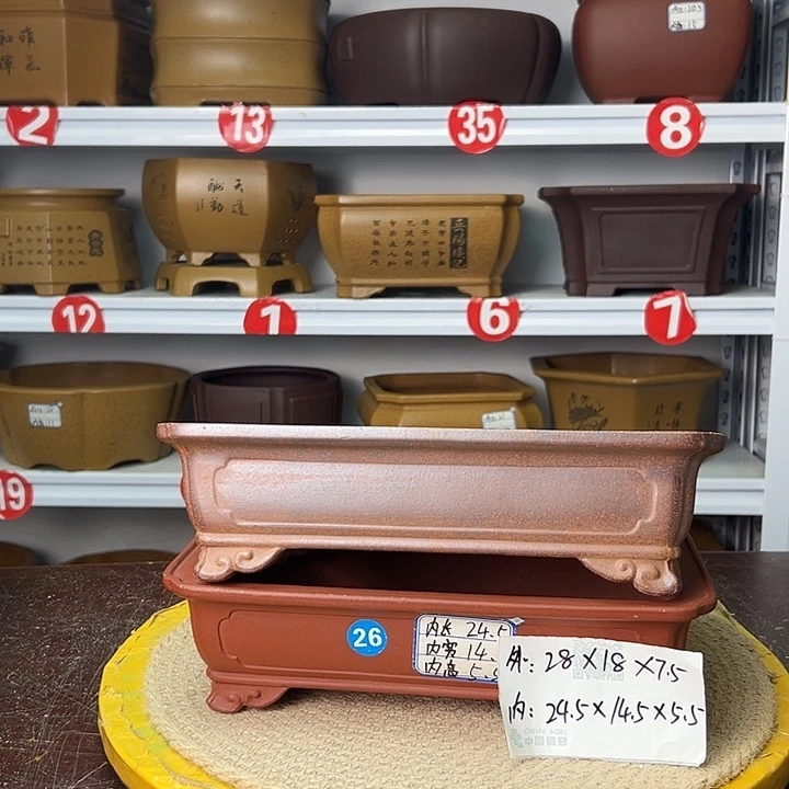 花盆紫砂你在一起